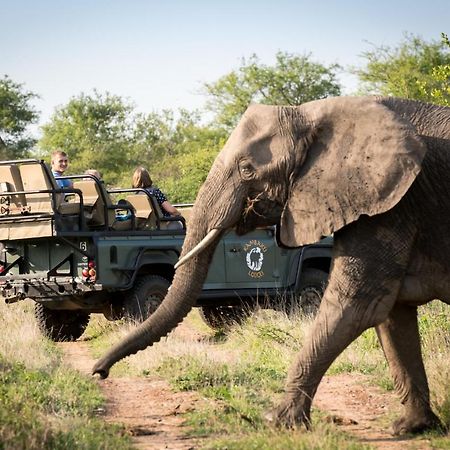 Kambaku River Sands Timbavati Game Reserve Buitenkant foto