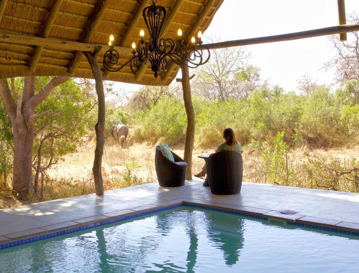 Kambaku River Sands Timbavati Game Reserve Buitenkant foto