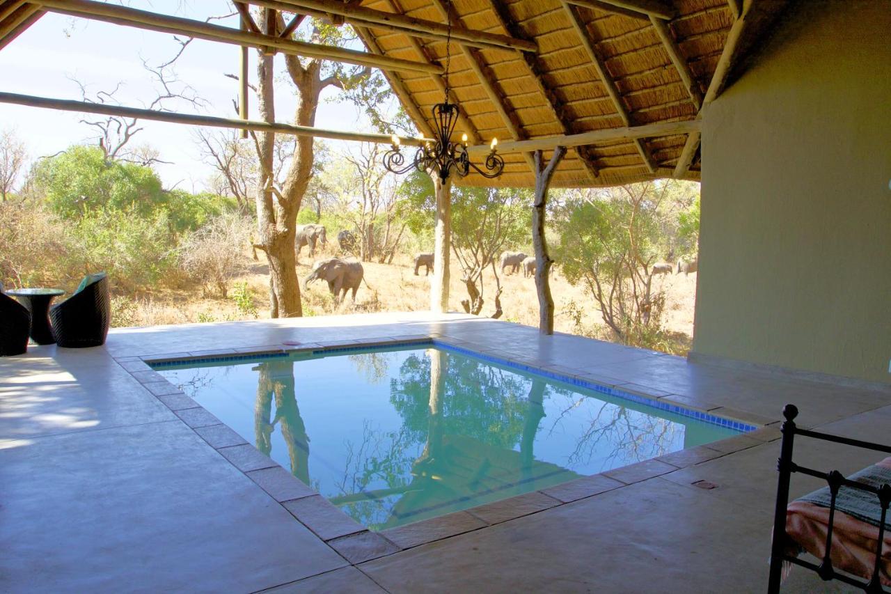 Kambaku River Sands Timbavati Game Reserve Buitenkant foto