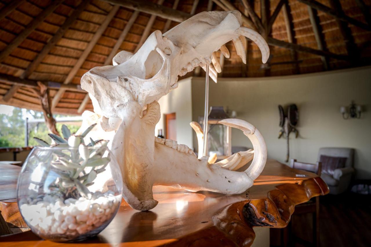 Kambaku River Sands Timbavati Game Reserve Buitenkant foto
