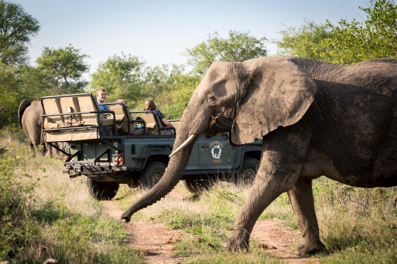 Kambaku River Sands Timbavati Game Reserve Buitenkant foto