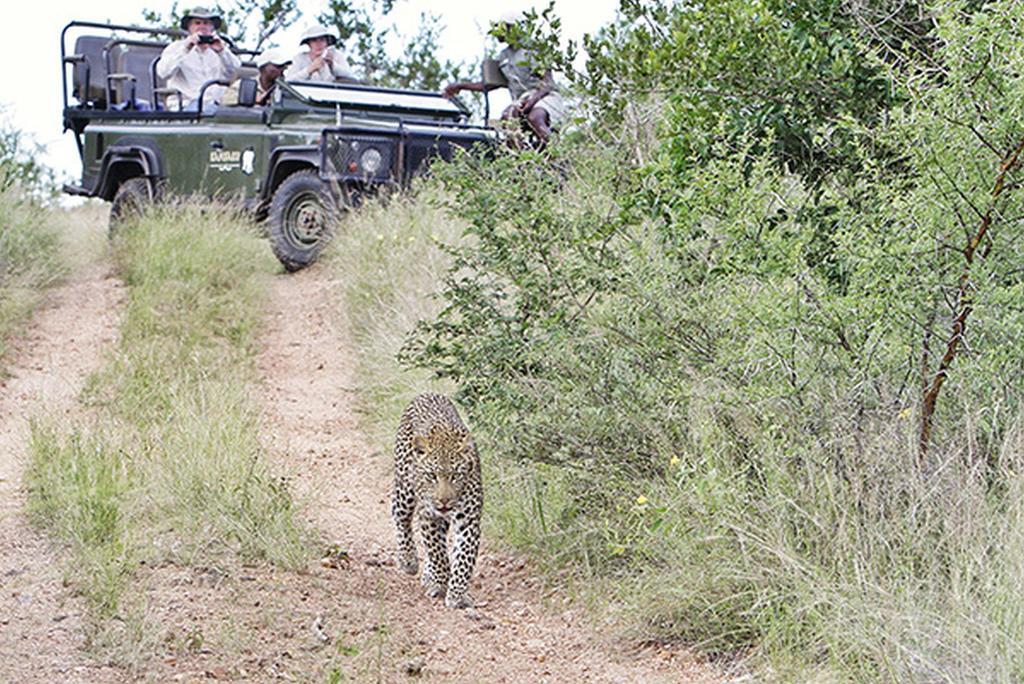 Kambaku River Sands Timbavati Game Reserve Buitenkant foto