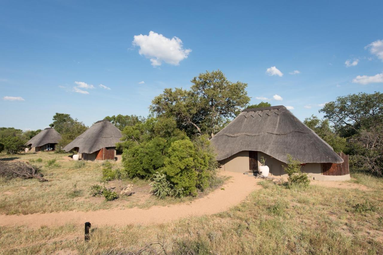 Kambaku River Sands Timbavati Game Reserve Buitenkant foto