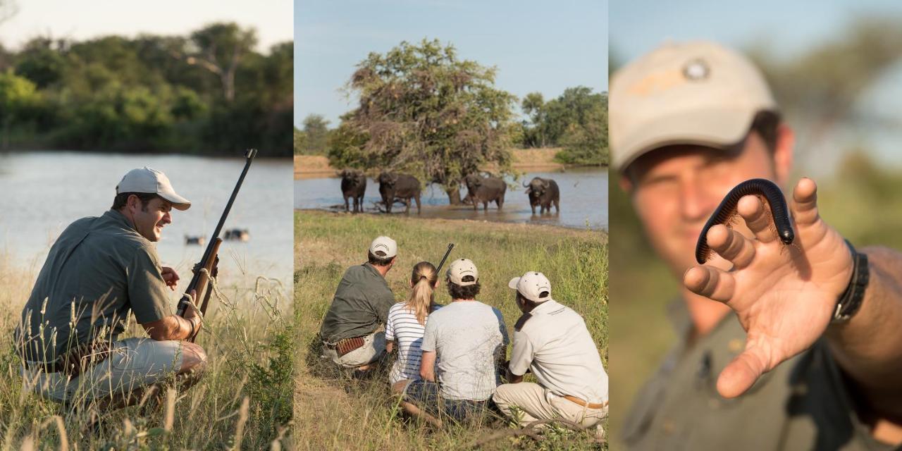 Kambaku River Sands Timbavati Game Reserve Buitenkant foto