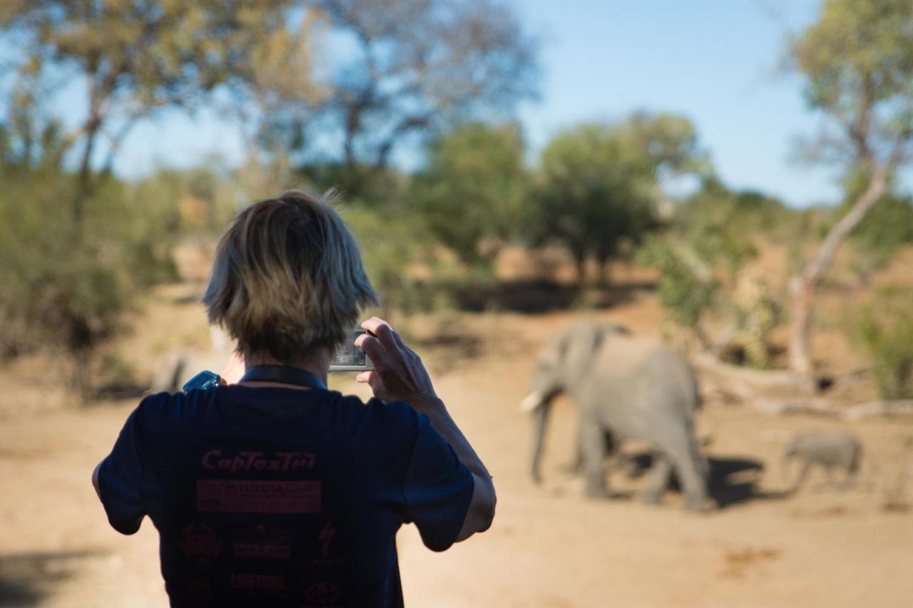 Kambaku River Sands Timbavati Game Reserve Buitenkant foto